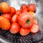 Growing Tomatoes