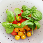 gardentomatoes garden tomatoes