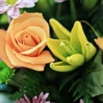 1800flowers giveaway