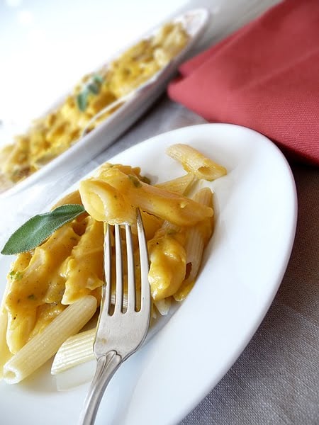 butternutparmesansauce Pasta with Butternut Parmesan Sauce