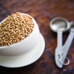 grinding your own flour from whole grains