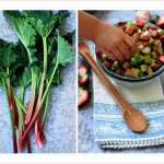 rhubarb