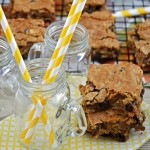 gluten free oatmeal raisin bars gluten free oatmeal raisin bars