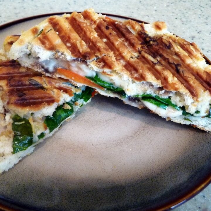 Leftovers Panini