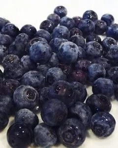 Lemon Blueberry Muffins