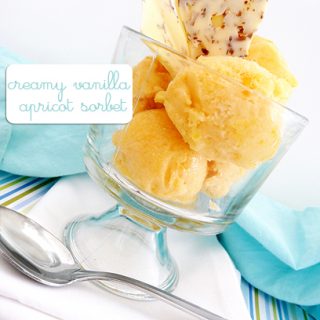 Creamy Apricot Sorbet