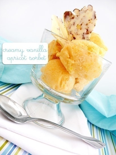 creamy vanilla apricot sorbet with white chocolate almond bark