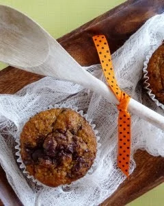 pumpkin chocolate chunk muffin