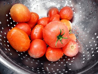 Growing Tomatoes