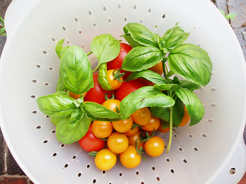 garden tomatoes