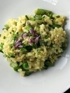 vegetarian spring risotto by danatreat