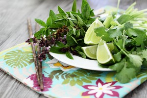 asian herbs for vietnamese beef noodle soup