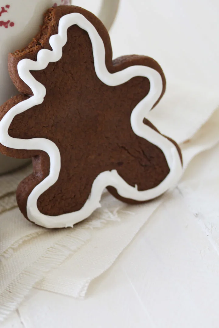 close up of a chocolate gingerbread cut out cookie