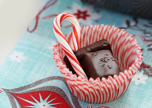 Two chocolate covered sea salt caramels nestled in a mini muffin liner with a candy cane. 