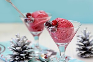 cranberry pomegranate sorbet recipe