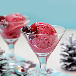 cranberry pomegranate sorbet recipe