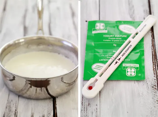 how to make yogurt