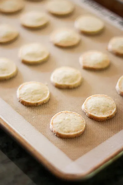 rosemary cracker recipe
