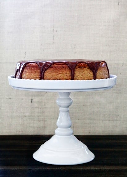 chocolate pumpkin cheesecake