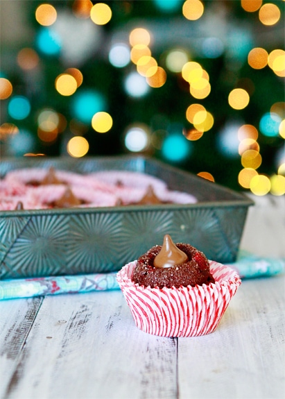 A chocolate cherry blossom cookie in a striped mini muffin liner, with twinkle lights in the background. 