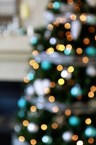 christmas tree bokeh pictures
