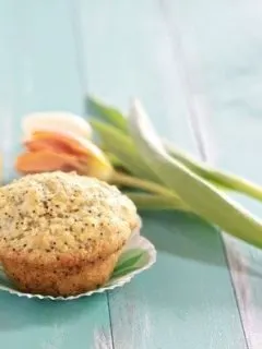 coconut lemon poppyseed muffin recipe