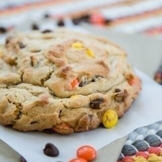 Chocolate Peanut Butter Cookie for One