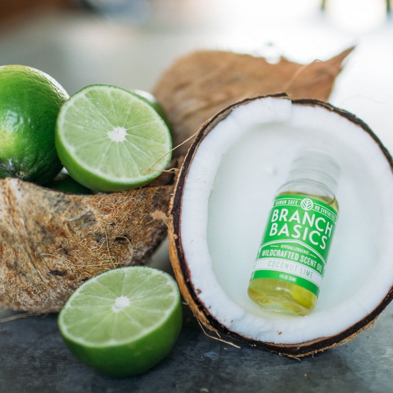 COCONUT LIME WILDCRAFTED SCENT OIL Good Life Eats