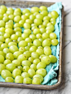 Frozen Grapes on Cookie Sheet