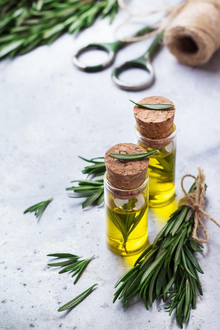 How to Use Rosemary Hair Oil For Growth: Recipe for Rosemary Hot Oil Hair  Treatment | Good Life Eats