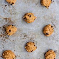 Pumpkin Chocolate Chip Cookie Smores