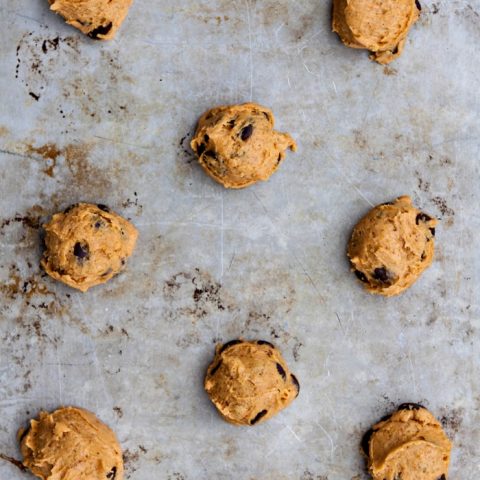 Pumpkin Chocolate Chip Cookie Smores