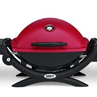 Weber Q1200 Grill