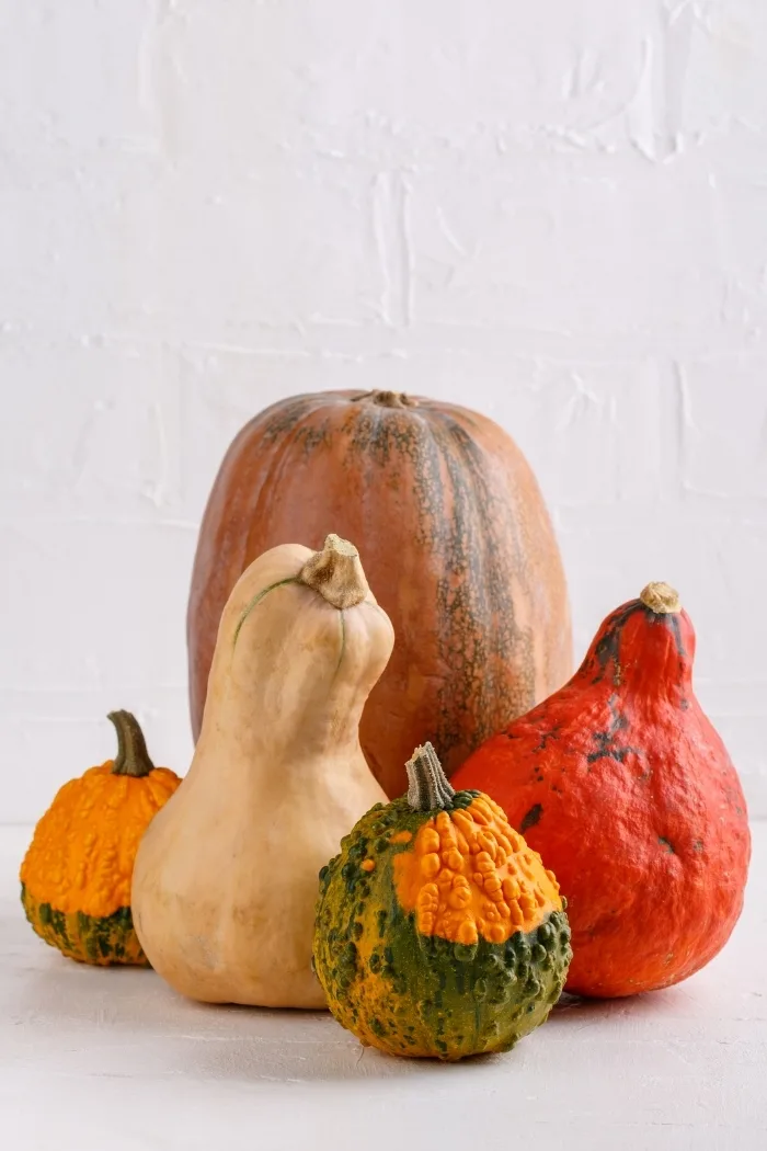 winter squash and pumpkins on a white counter top