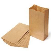 Brown Paper Lunch Bags