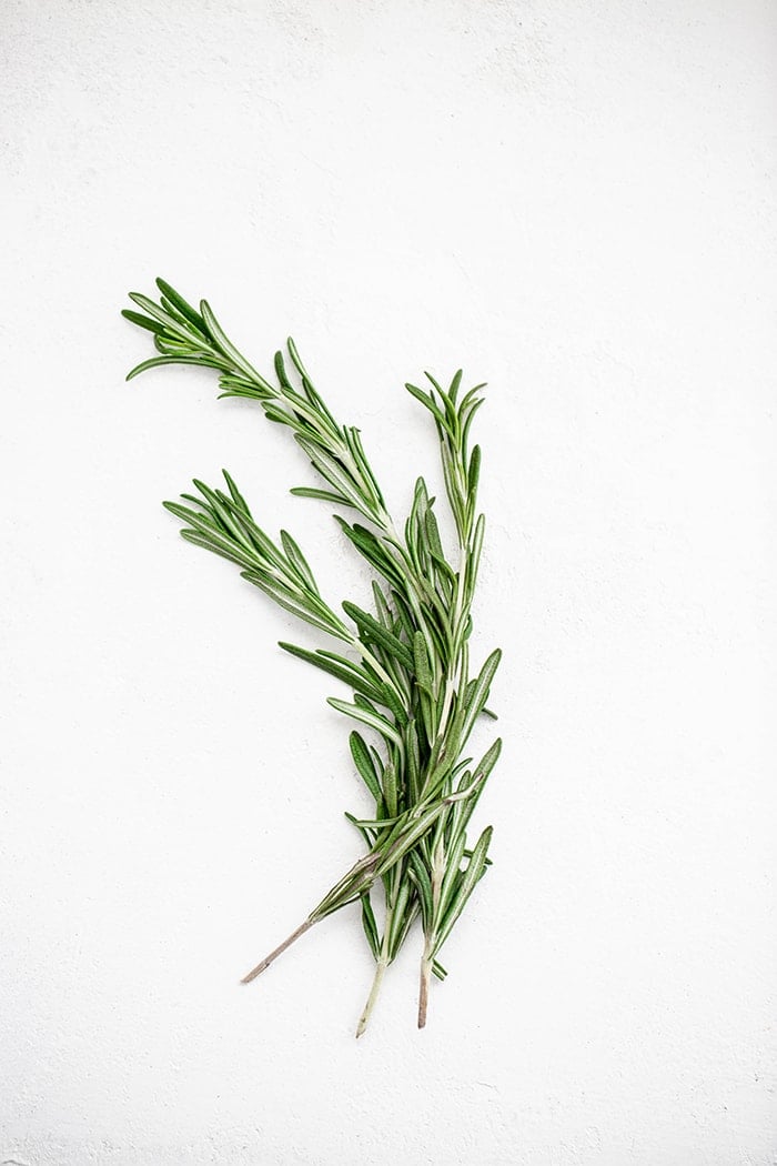 fresh rosemary on a white background to use in a recipe for turkey brine for smoking