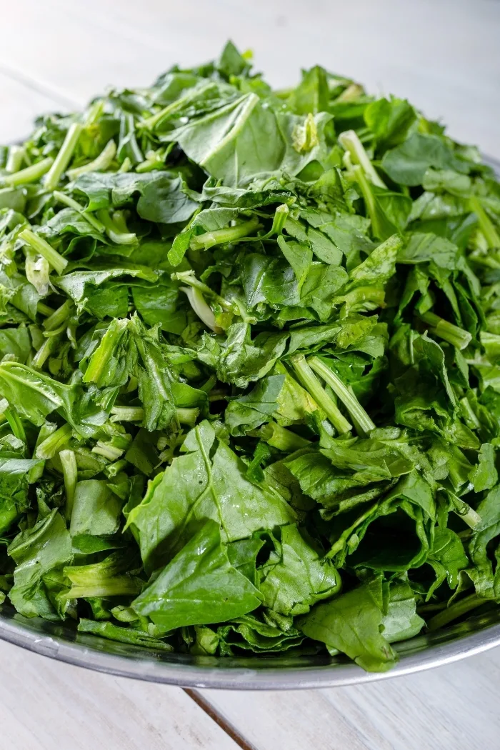 bowl of chopped spinach