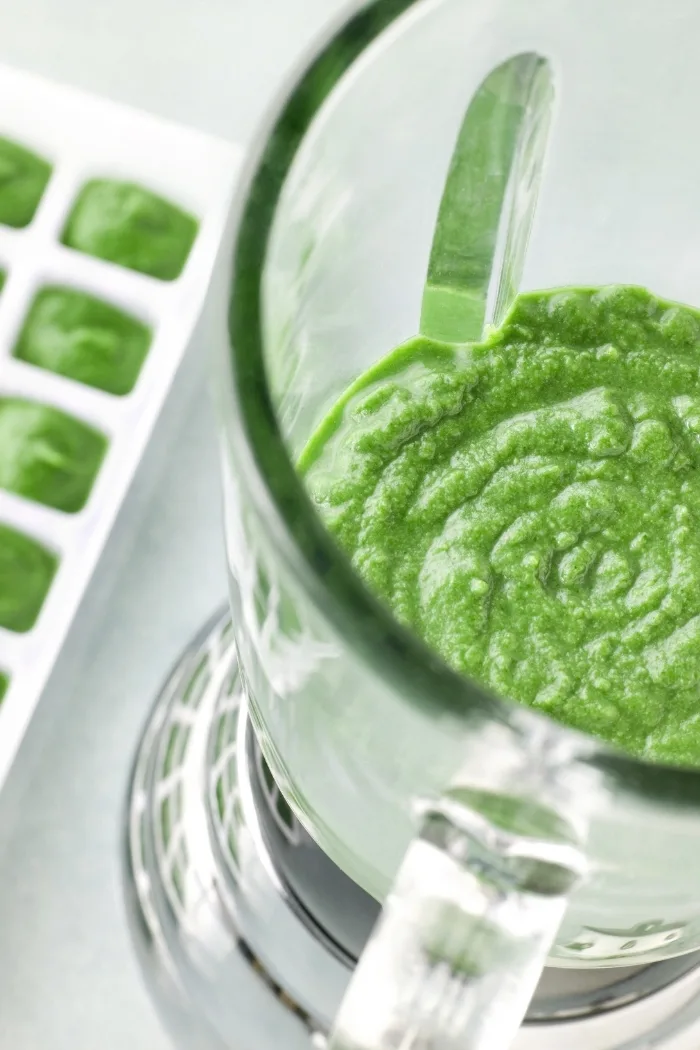 blender with pureed spinach