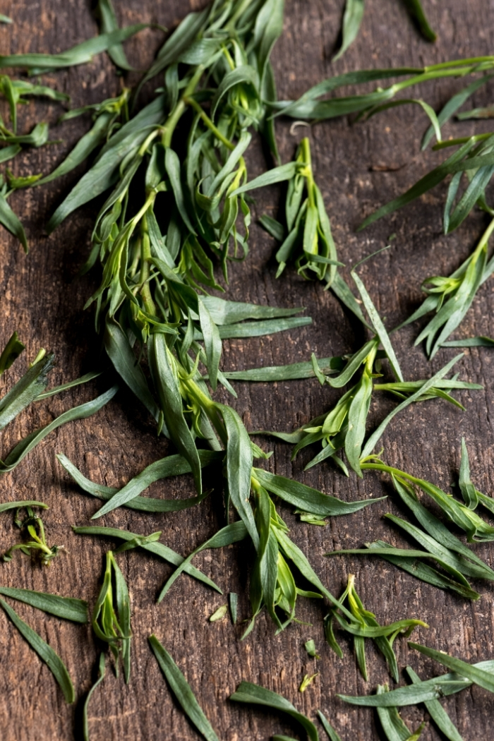 fresh tarragon on a wooden table