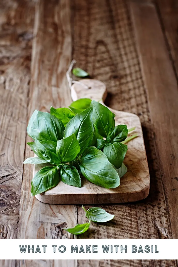 fresh basil on a wooden cutting board on a table