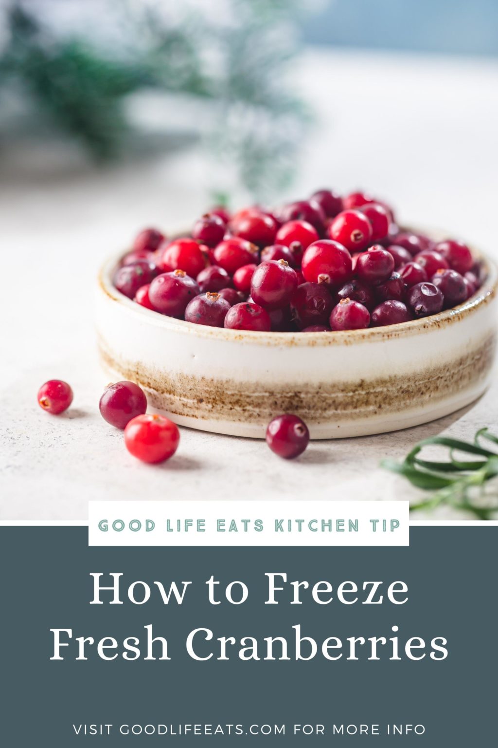 How to Freeze Cranberries Good Life Eats