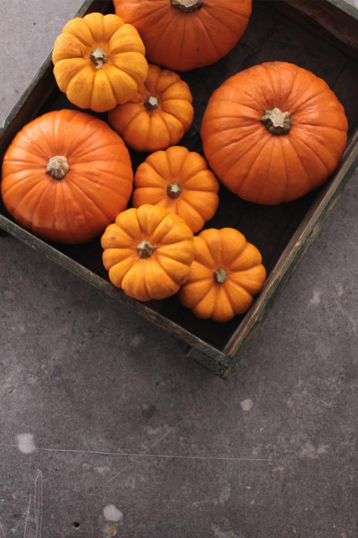 pumpkins in a wooden bin