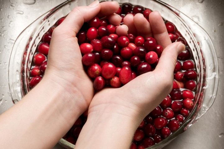 washing cranberries in a bowl in the sink