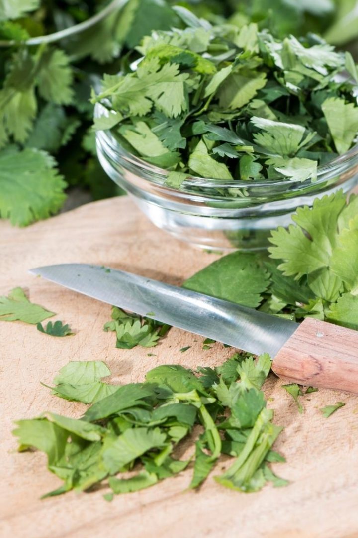 photo of fresh cilantro on a cutting board with a knife for a peach salsa recipe
