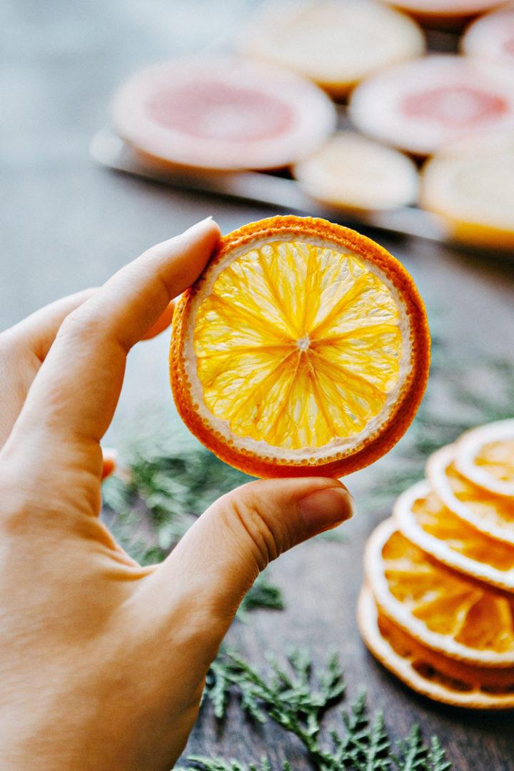 photo of a hand holding a dried orange slice