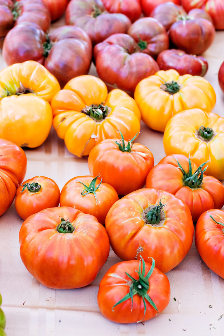 a photo of garden tomatoes for a how to freeze tomatoes tutorial