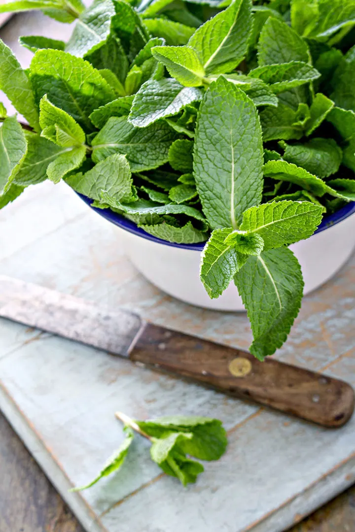photo of a bowl of fresh mint to use in  pineapple juice with mint recipe