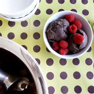 photo of chocolate gelato in a white bowl with fresh raspberries