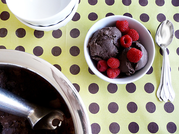 photo of chocolate gelato in a white bowl with fresh raspberries
