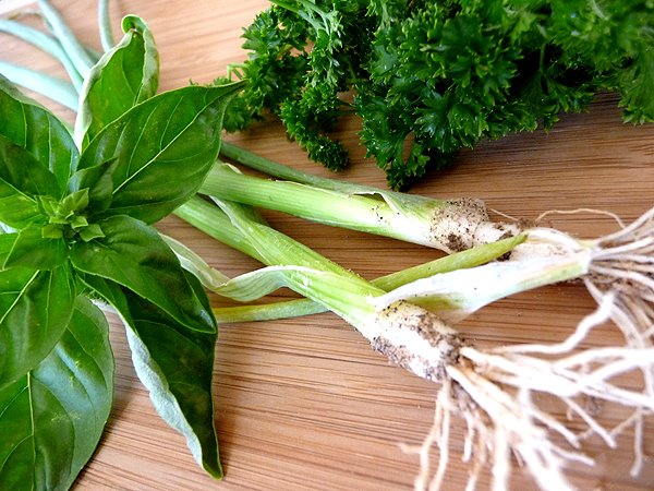 ingredients in this onion quiche recipe